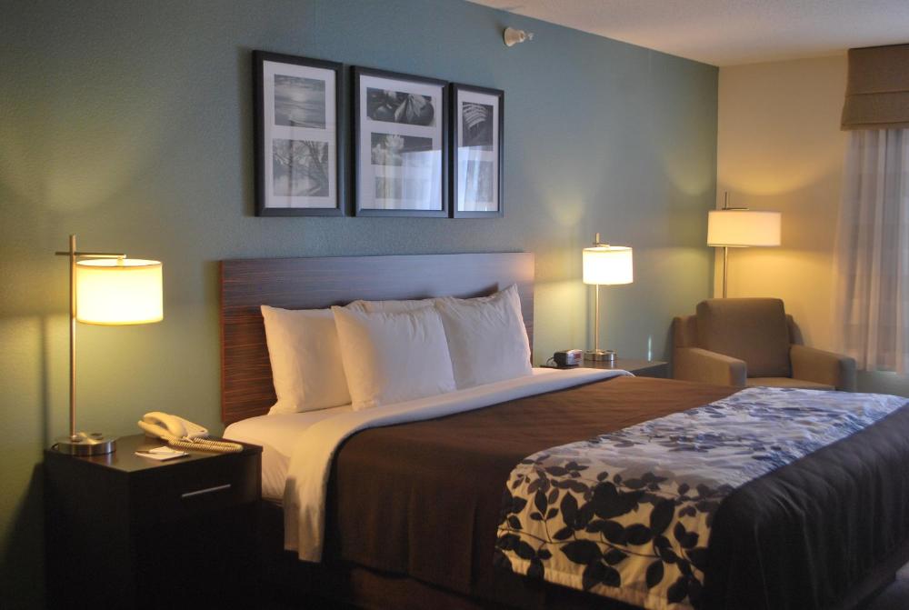 Standard King Room interior
